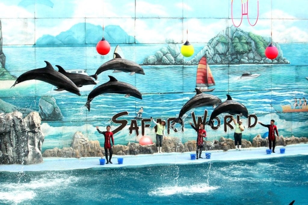 Vườn thú Safari World Bangkok - Thái Lan