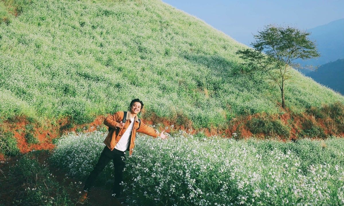 Đồi cải Mộc Châu